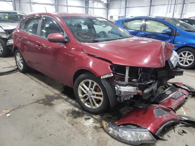 KIA FORTE EX 2011 knafu5a22b5436492