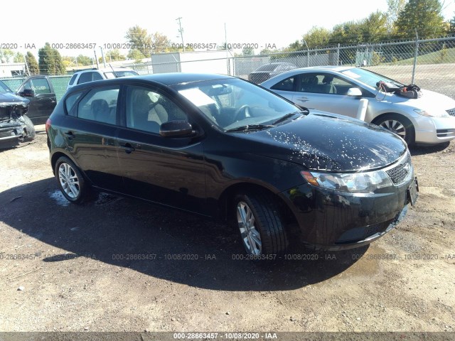 KIA FORTE 5-DOOR 2011 knafu5a23b5323635