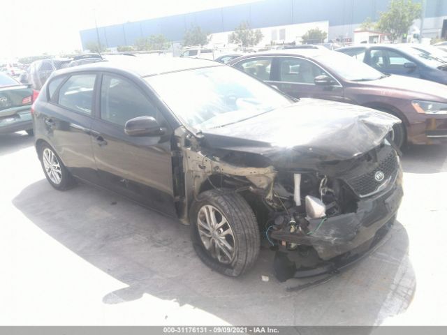 KIA FORTE 5-DOOR 2011 knafu5a23b5432709