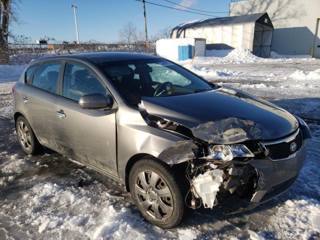 KIA FORTE EX 2012 knafu5a23c5558554