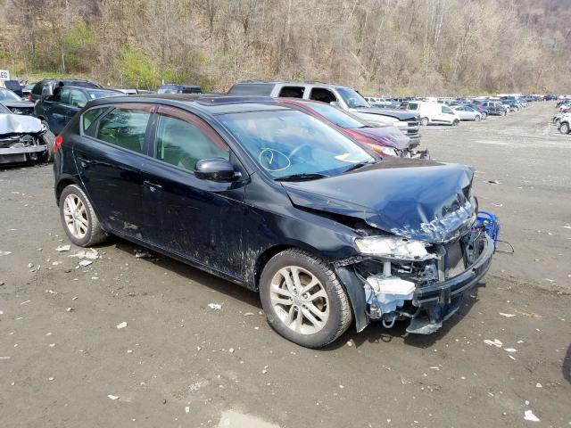 KIA FORTE EX 2012 knafu5a23c5595359