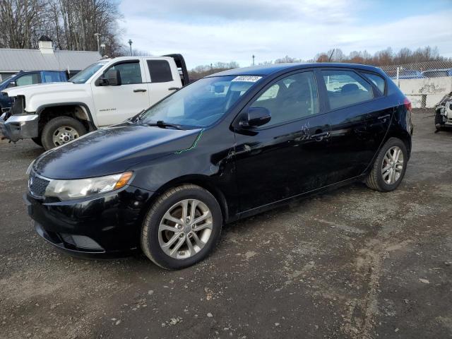 KIA FORTE 2012 knafu5a23c5625041