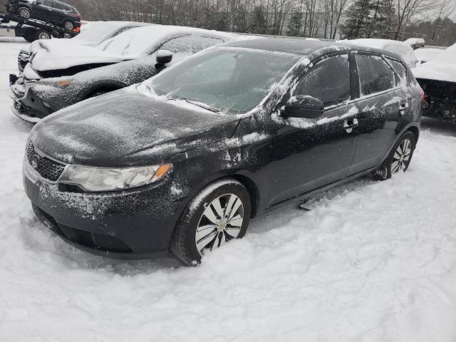 KIA FORTE 2013 knafu5a23d5657439