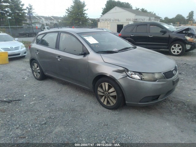 KIA FORTE 5-DOOR 2013 knafu5a23d5673253