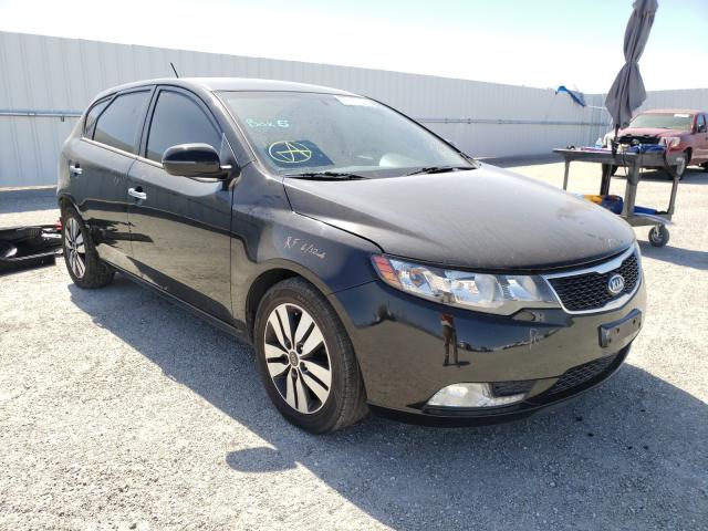 KIA FORTE EX 2013 knafu5a23d5674239