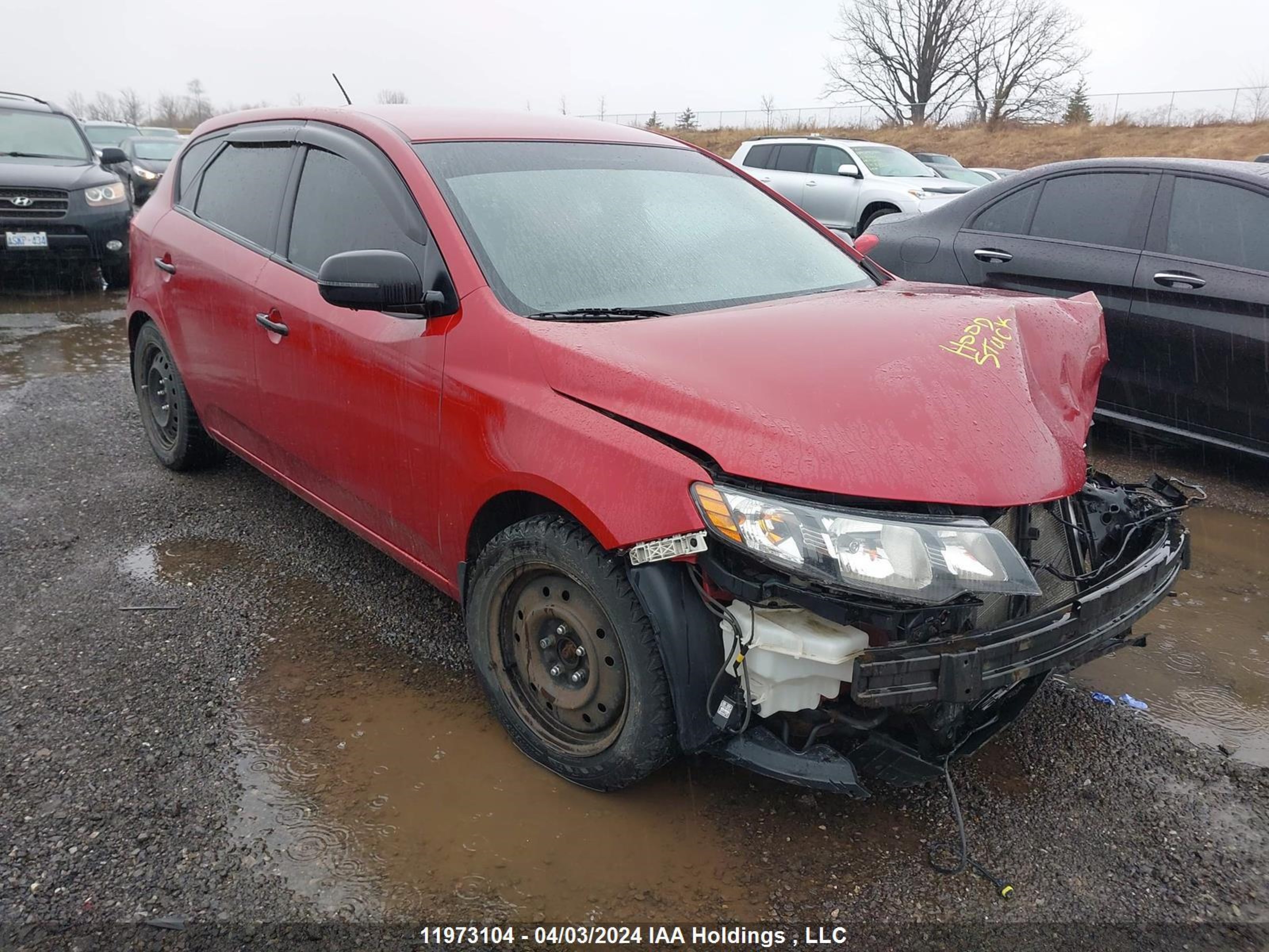 KIA FORTE 2011 knafu5a24b5322526