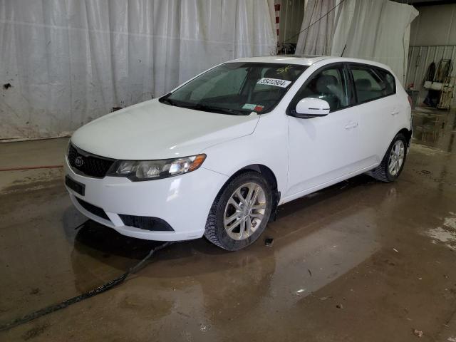 KIA FORTE 2011 knafu5a24b5347202