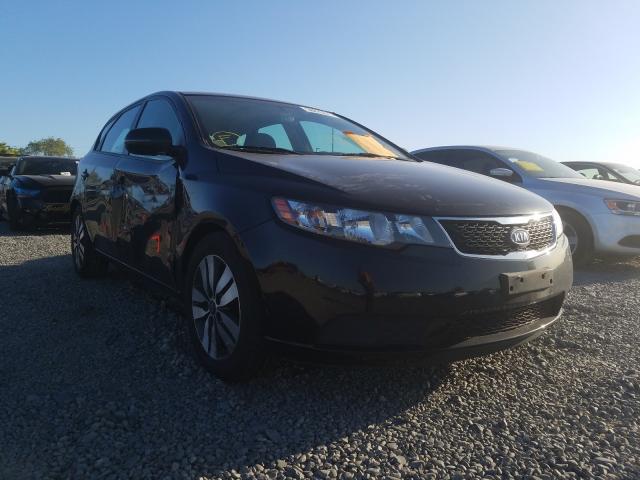 KIA FORTE EX 2013 knafu5a24d5678865