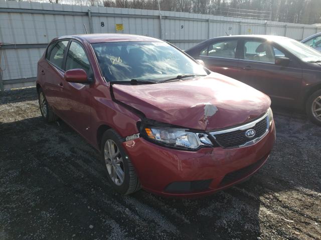 KIA FORTE EX 2011 knafu5a25b5329453