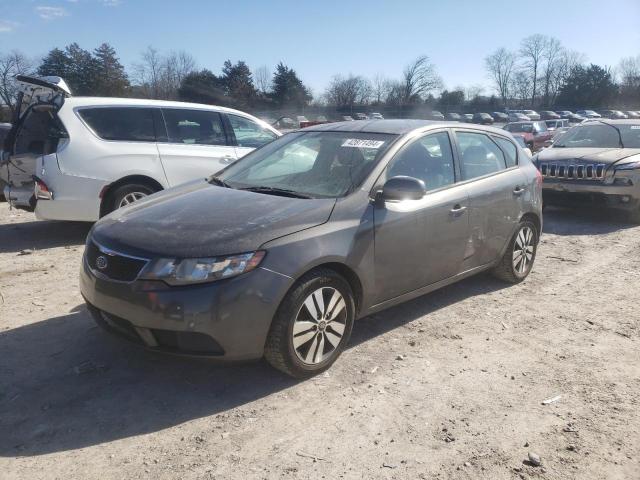 KIA FORTE 2013 knafu5a25d5744453