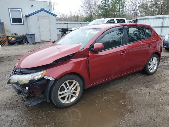 KIA FORTE 2011 knafu5a26b5411997