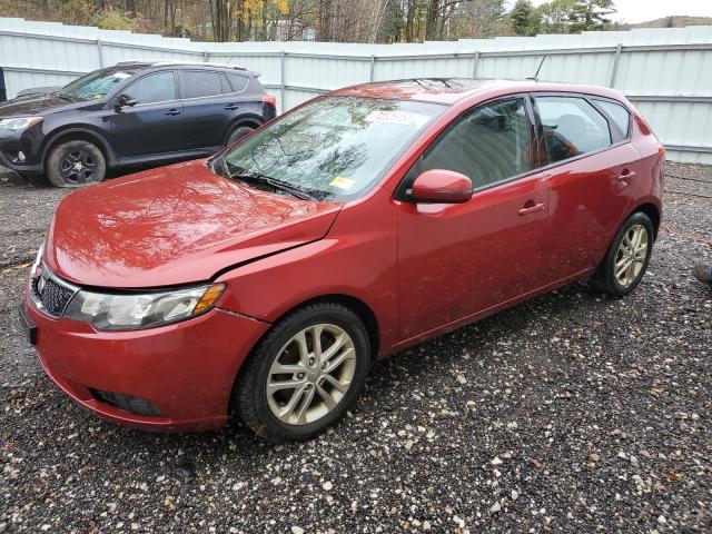 KIA FORTE 2011 knafu5a26b5442148