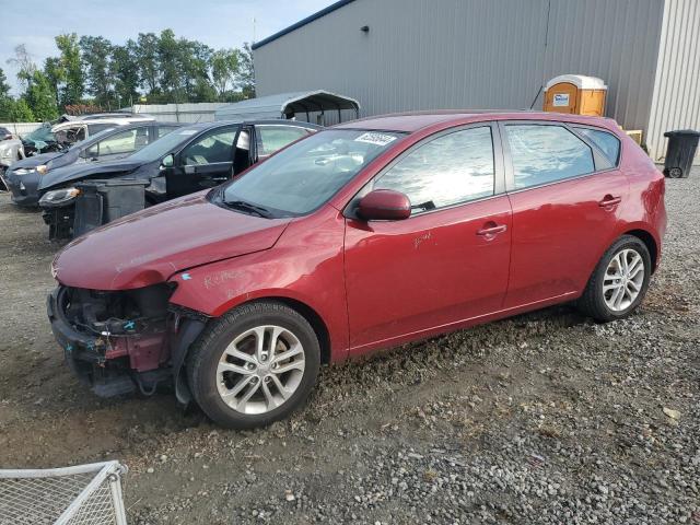 KIA FORTE 2012 knafu5a26c5482036