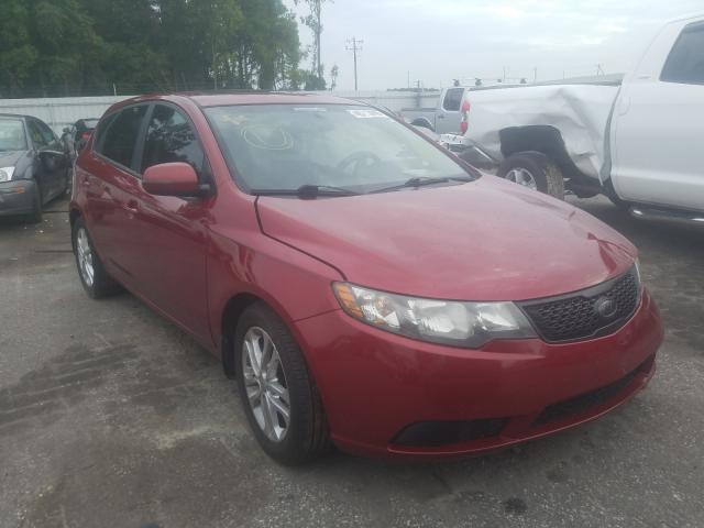 KIA FORTE EX 2012 knafu5a26c5568981