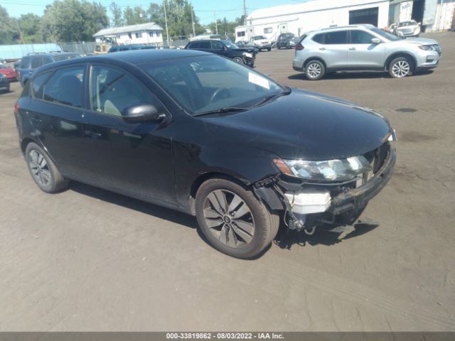 KIA FORTE 5-DOOR 2013 knafu5a27d5657461