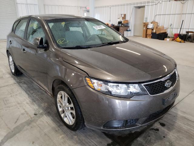 KIA FORTE EX 2012 knafu5a28c5517613