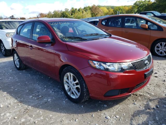 KIA FORTE 5-DOOR 2011 knafu5a29b5328953