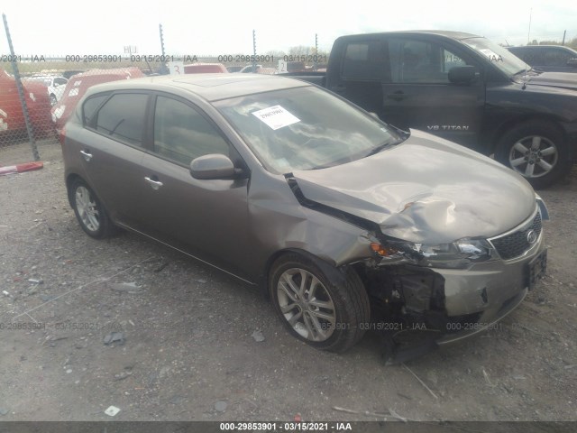 KIA FORTE 5-DOOR 2011 knafu5a29b5385265