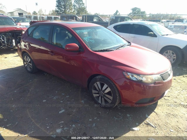 KIA FORTE 5-DOOR 2013 knafu5a29d5659759