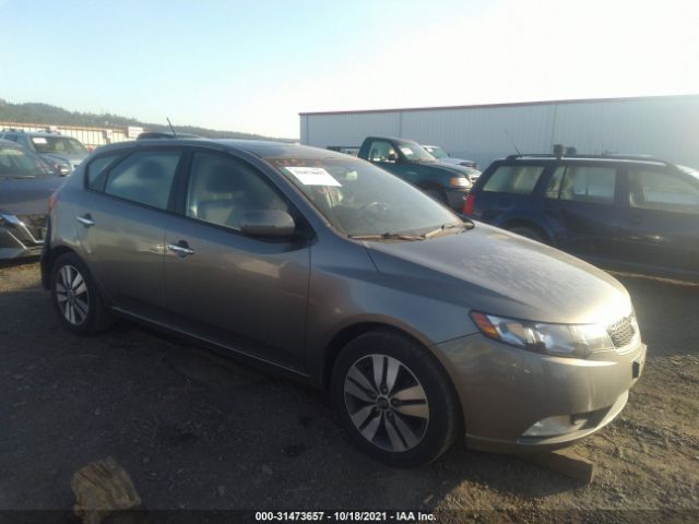 KIA FORTE 5-DOOR 2013 knafu5a29d5673628