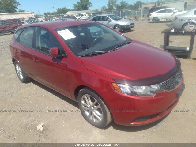 KIA FORTE 5-DOOR 2011 knafu5a2xb5325379