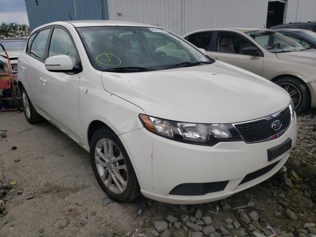 KIA FORTE EX 2011 knafu5a2xb5332476