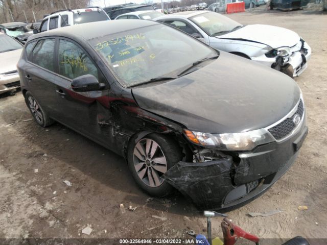 KIA FORTE 5-DOOR 2013 knafu5a2xd5650018