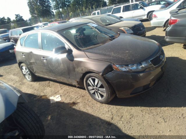 KIA FORTE 5-DOOR 2013 knafu5a2xd5727664