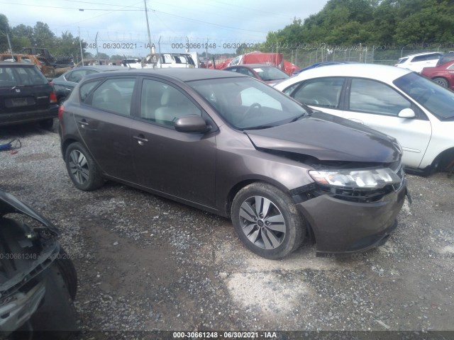 KIA FORTE 5-DOOR 2013 knafu5a2xd5744531