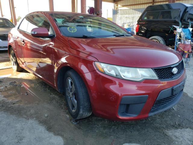 KIA FORTE EX 2010 knafu6a20a5132663