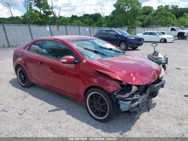 KIA FORTE 2010 knafu6a20a5273457