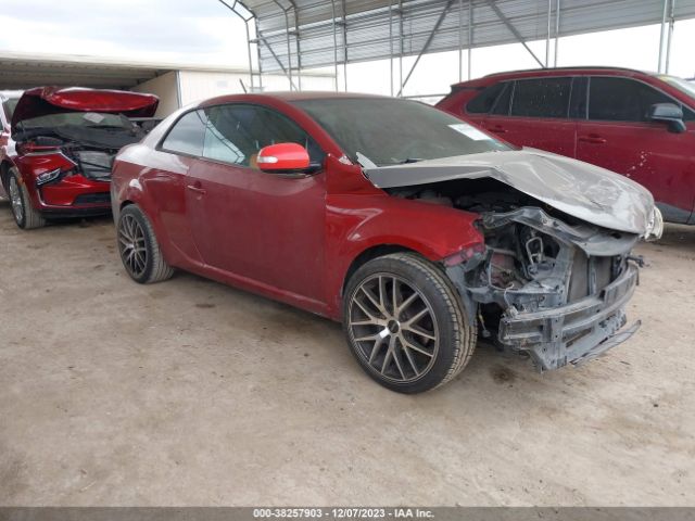 KIA FORTE 2010 knafu6a21a5133479