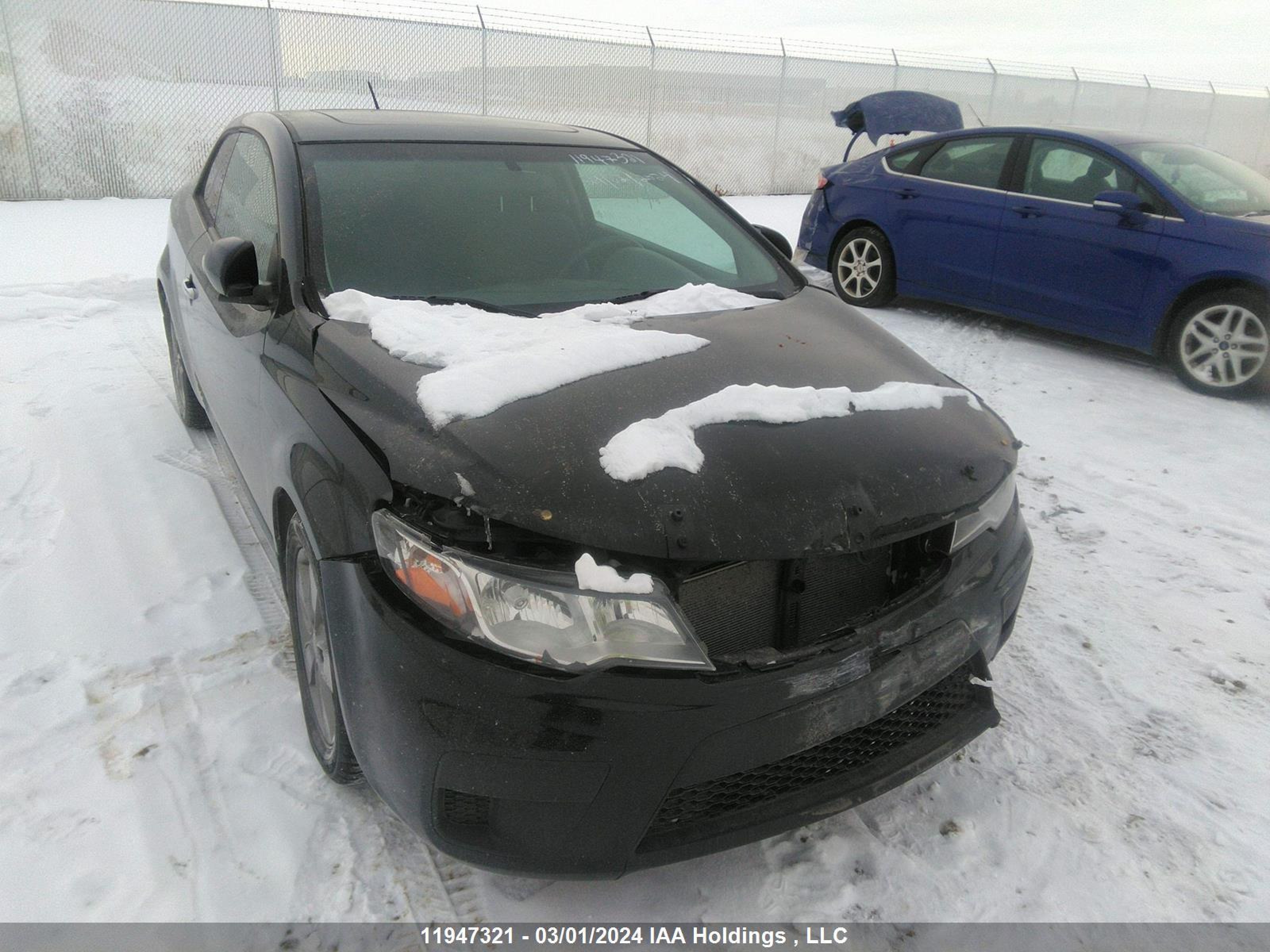 KIA FORTE 2010 knafu6a21a5204583