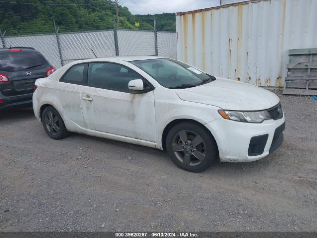 KIA FORTE 2011 knafu6a21b5379627