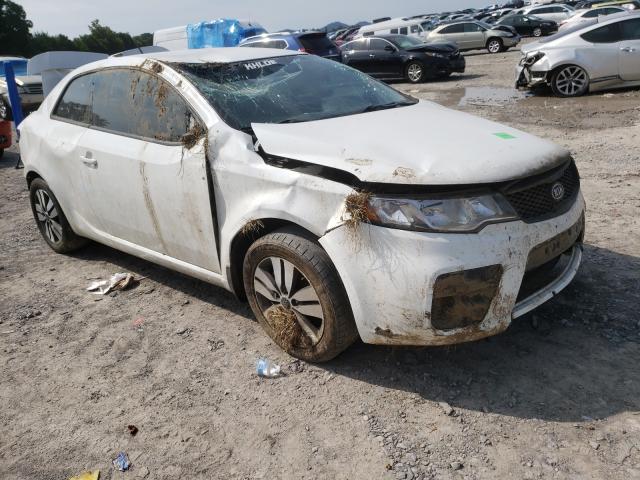 KIA FORTE EX 2013 knafu6a21d5743256