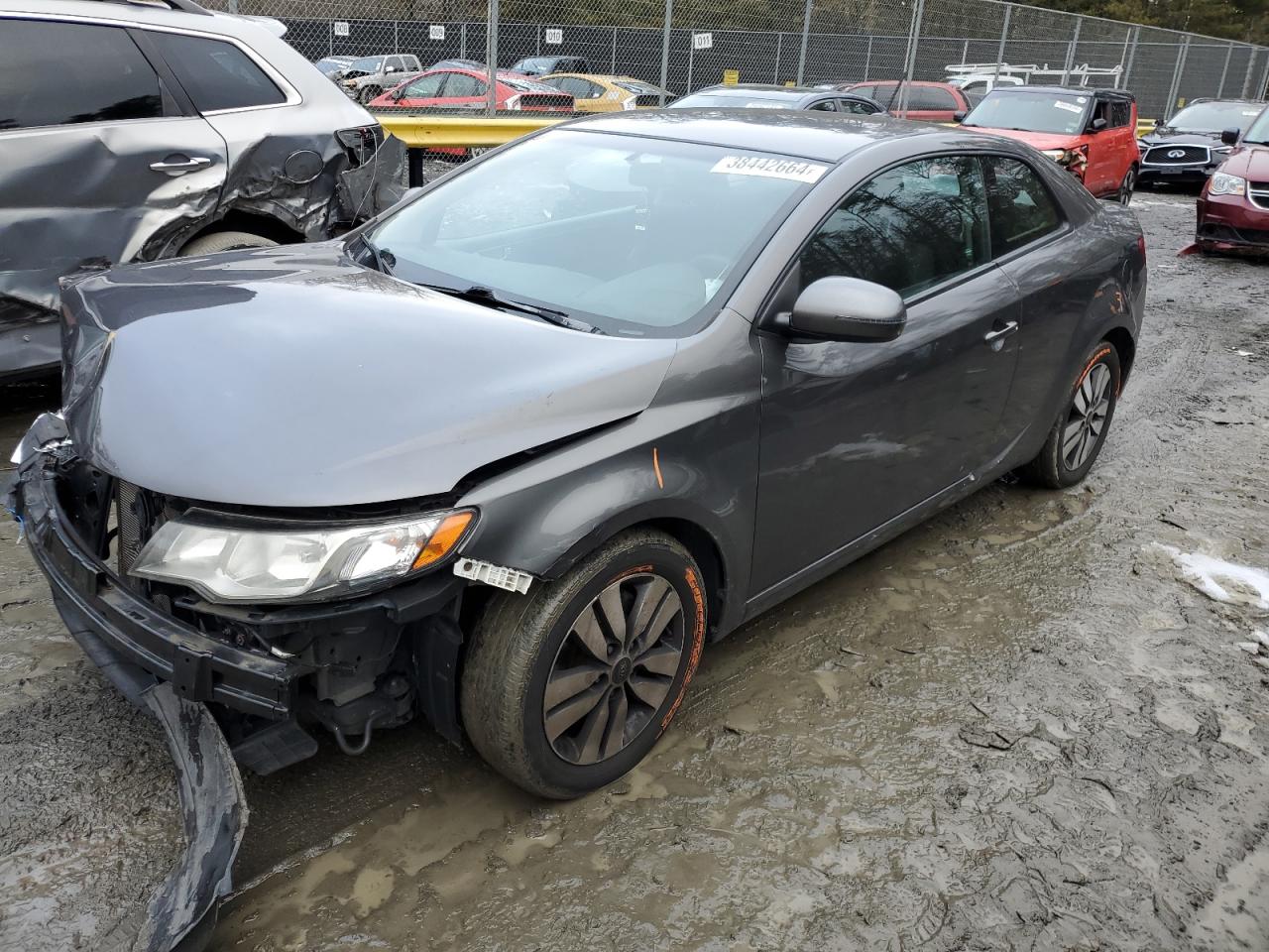 KIA FORTE 2013 knafu6a21d5743273