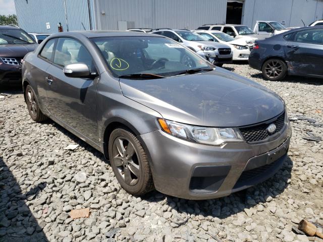 KIA FORTE EX 2010 knafu6a22a5131160