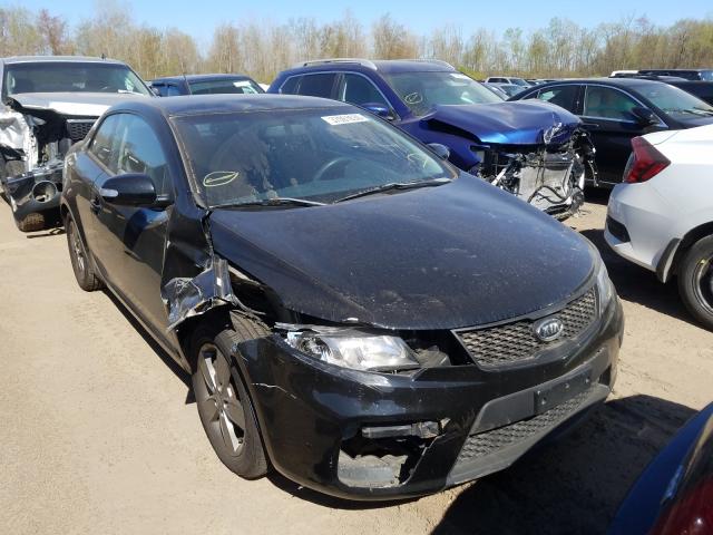 KIA FORTE EX 2010 knafu6a22a5161047