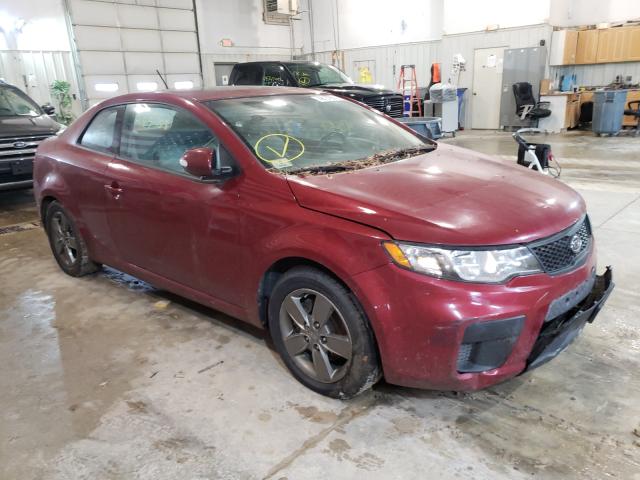 KIA FORTE EX 2010 knafu6a22a5198695