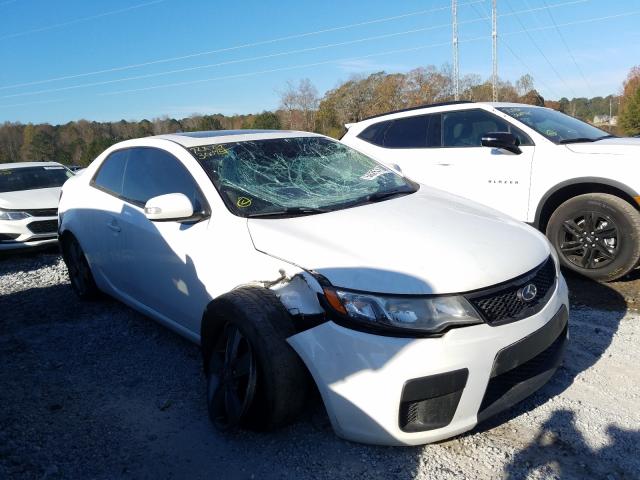 KIA FORTE EX 2010 knafu6a22a5276750