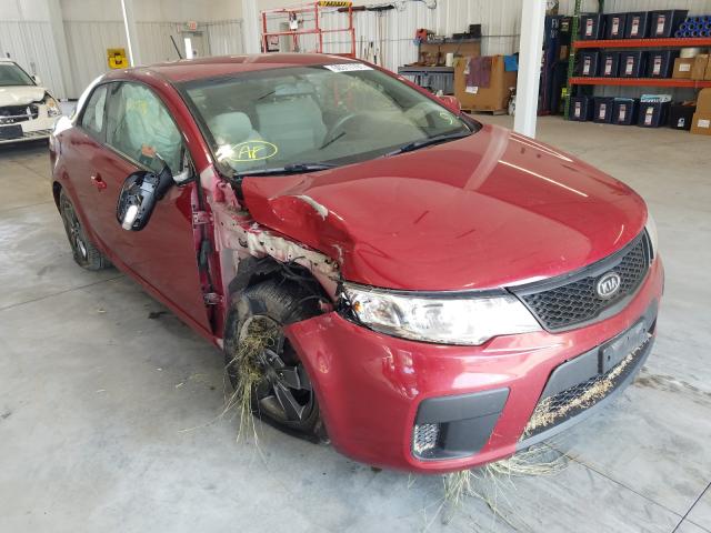 KIA FORTE EX 2010 knafu6a22a5307611