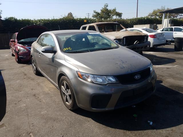 KIA FORTE EX 2010 knafu6a23a5126498