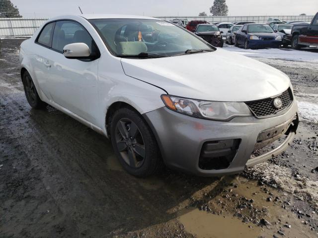 KIA FORTE EX 2010 knafu6a23a5126596