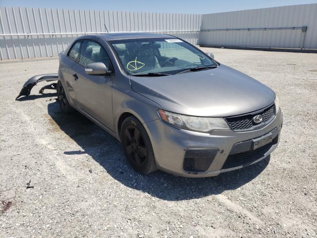 KIA FORTE EX 2010 knafu6a23a5127425