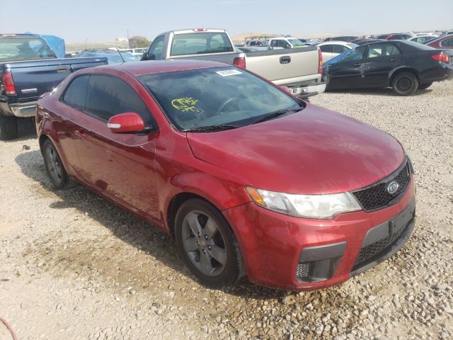 KIA FORTE EX 2010 knafu6a23a5129756