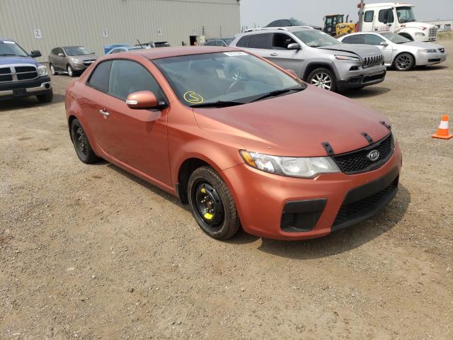 KIA FORTE EX 2010 knafu6a23a5132429