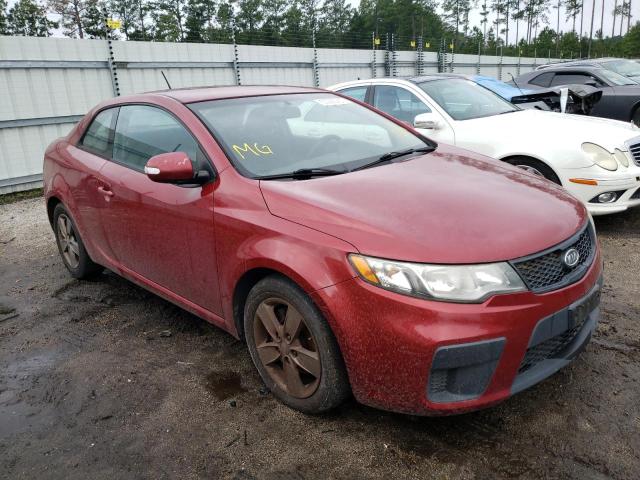 KIA FORTE EX 2010 knafu6a23a5164443