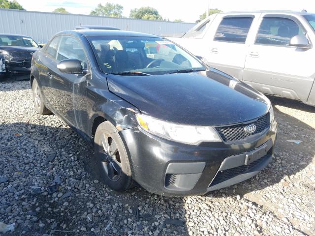 KIA FORTE EX 2010 knafu6a23a5182652