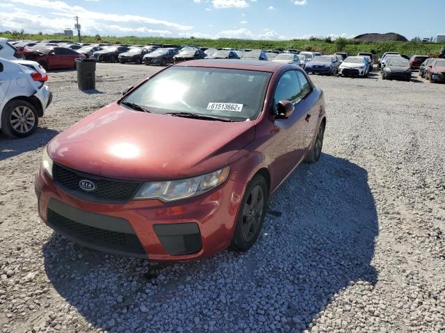 KIA FORTE EX 2010 knafu6a23a5188726