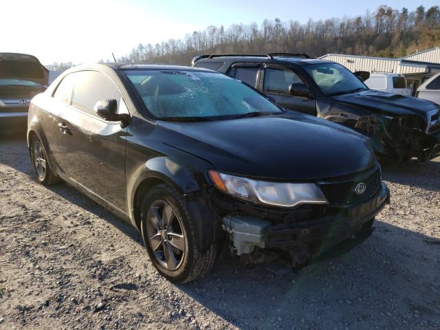 KIA FORTE EX 2010 knafu6a23a5277356